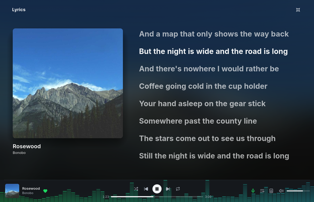 Full-screen lyrics with the dark player bar